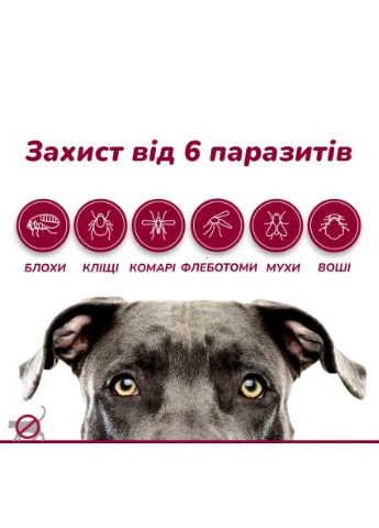 Капли против внешних паразитов для собак Advantix до 4 кг ЦЕНА ЗА 1 ШТ 85910388 Elanco (289869685)