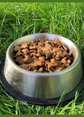 Сухий корм для собак усіх порід Стандарт зі смаком курки 10 кг (4820111140244) Пан Пес (279565900)