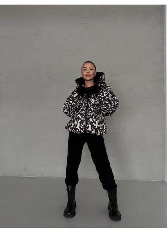 Костюм двойка No Brand (364365929)