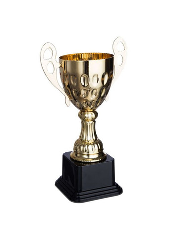 Кубок спортивний з ручками 4045D (4045D) SP-Sport (361440041)