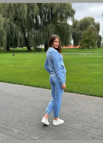 Спортивный велюровый костюм на змейке ( ) V.Velika (307089025)