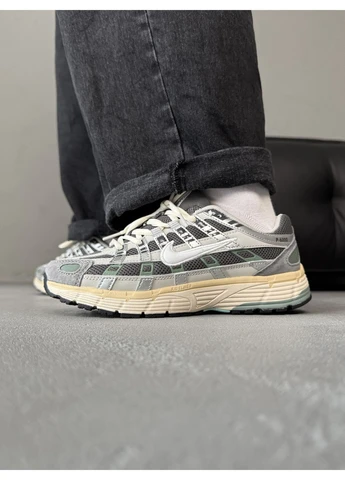 Серые летние кроссовки nike p-6000 premium casual shoes grey найк п-6000 No Brand