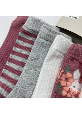 Комбіновані набір дитячих шкарпеток Lupilu (366431290)