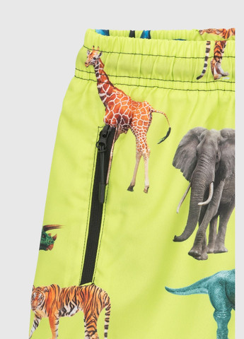 Шорты плащевка для мальчика Сафари 116 см Салатовый (2000990570475S) shop (2000990570475) No Brand Шорти плащівка (297569076)