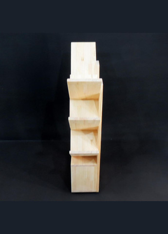 Книжковий стелаж з дерева Рембрант 2 бланже (КПС-200301) No Brand (328072380)