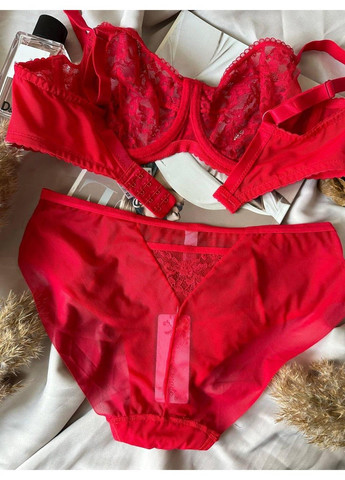 Червоний жіноча нижня білизна чашка d з мережевом комплект червоний Lanny Mode