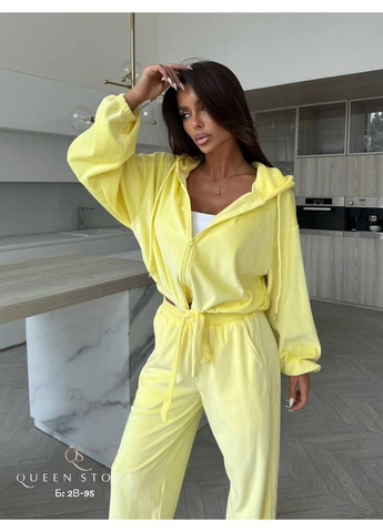 Жіночий костюм із м’якого велюру на блискавці Україна (360898523)