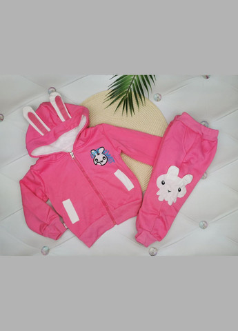 Комбинированный демисезонный утепленный костюм для девочки love rabbit малиновый 1870 No Brand