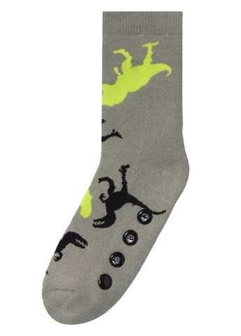 Сірі шкарпетки махрові 2пари Lidl персонажі зима (349360169)