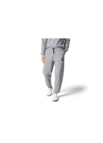 Спортивні штани Regular Fit флісові для чоловіка Friends (n) 463093 сірий Livergy (341277456)