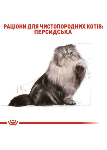 Сухой корм PERSIAN ADULT для взрослых кошек персидской породы 2 кг Royal Canin (290186987)