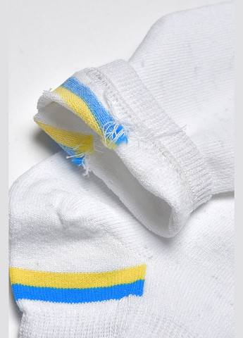Шкарпетки чоловічі спортивні білого кольору розмір 41-45 Let's Shop (278050297)