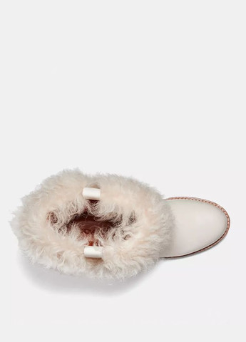 Осенние сапоги Coach с пряжкой