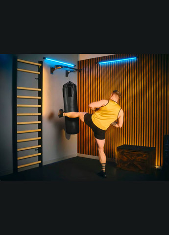 Турник настенный TX-030PB черный TREX Sport (341328036)