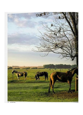 Книга Great Escapes Latin America. The Hotel Book (9783836584357) Taschen (364654066)