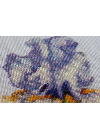 Набор для вышивки крестиком "Ирисы" Abris Art (288137412)
