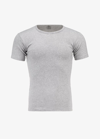 Термофутболка мужская 2015-3 Серый (2000903102281W) shop (2000903102281) Ceylanoglu (362307507)