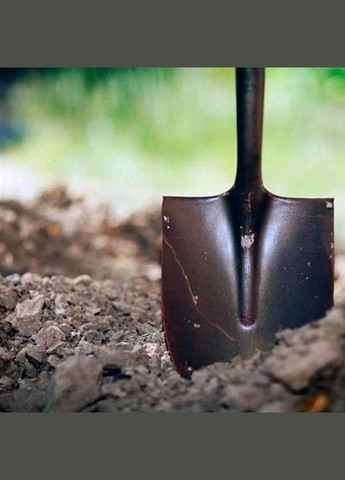 Лопата штыковая WS-003 (126153) Werk (317345650)