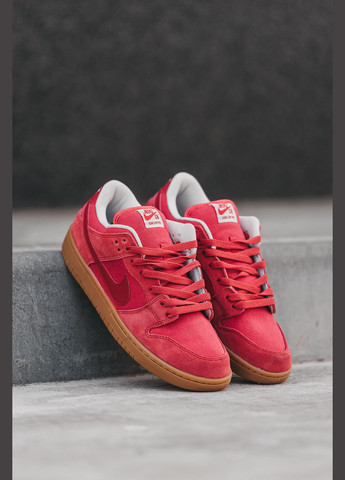 Красные демисезонные кроссовки мужские nike sb dunk low red | найк сб данк низкие красные красные No Brand