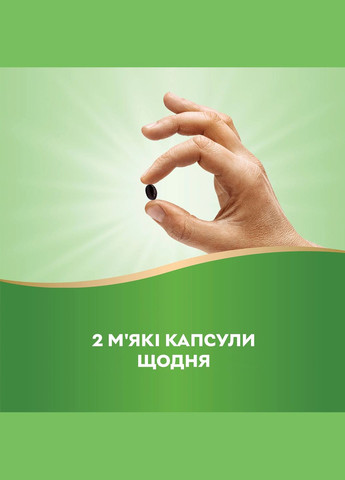 Натуральна добавка Chlorofresh, 90 капсул Nature's Way (324420988)