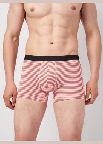 Трусы (3шт) Basic Collection (315007384)