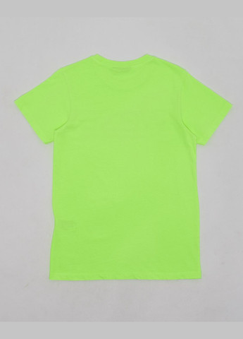 Салатовая футболка basic,салатовый с принтом, Wesc