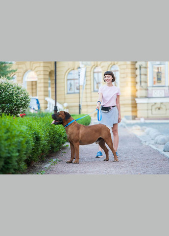 Повідець для собак водостійкий Waterproof Ш 15 мм Д 183 см Блакитний WAUDOG (279573157)