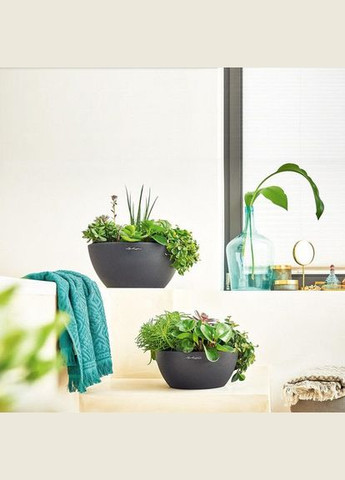 Розумний вазон Cubeto Color 30 4,5 л чорний 13832 Lechuza (316613570)