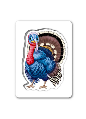 Дитяча розвиваюча гра "Пізнаємо з народження: На подвір'ї" 264014, 8 карток Ranok Creative (328961357)