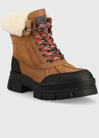 Черевики UGG (316255985)
