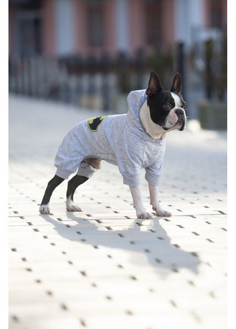 Комбінезон для собак Clothes малюнок "Бетмен лого", софтшелл,, B 54-60 см, С 34-40 см [CD] WAUDOG (362578907)