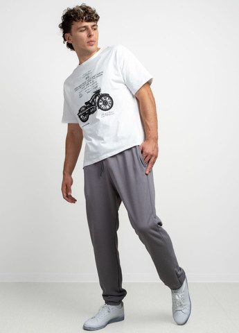 Штани чоловічі 344334 Power (303283282)