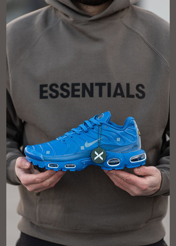 Синие демисезонные кроссовки мужские Nike Air Max TN Plus