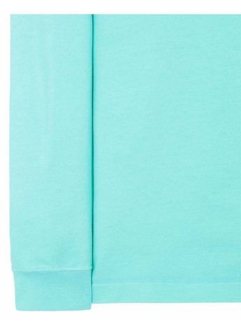 Блакитний світшот Stone Island (285738929)