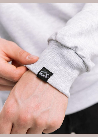 Светло-серый базовый мужской свитшот однотонный светло-серая однотонный без декора (345647928)