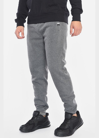 Спортивні штани чоловічі на флісі сірого кольору Let's Shop (305296642)