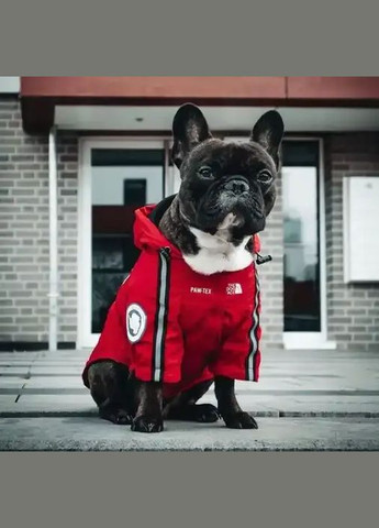 Куртка ветровка с тонкой водонепроницаемой подкладкой the dog face для собак красная M размер No Brand (299840187)