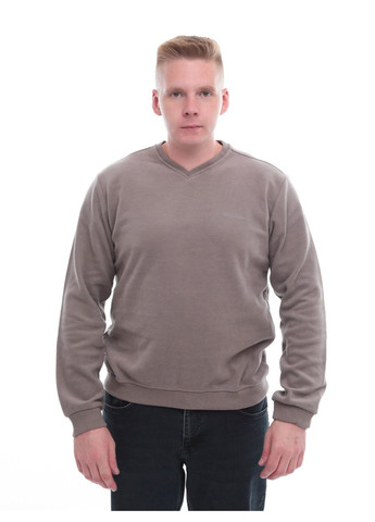 Бежевий демісезонний джемпер чоловічий бежевий комір мис джемпер Bagarda Пряма