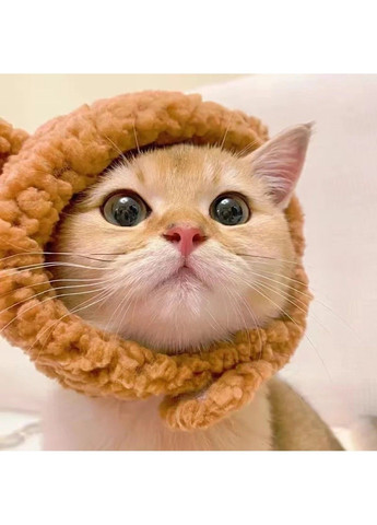 Шапка з вушками для котів і собак Brown Pet Weight 2-4.5 kg Xtep (319664403)