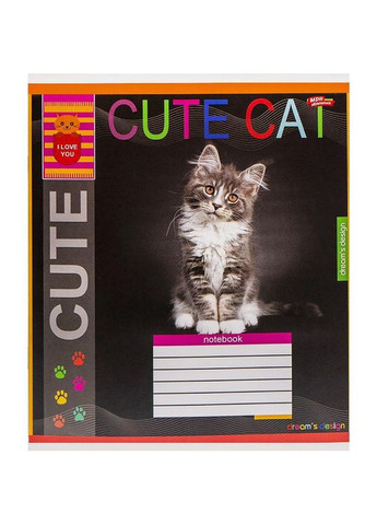 Тетрадь 12_л. клетка "МЕЧТЫ" / Серый котик Мрії Збуваються (342415622)