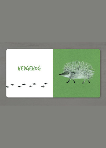 Книга Собери радугу. Сделать рейнбоу. Forest animals. Автор - Екатерина Таберко ( ) (англ.) Artbooks (338879817)