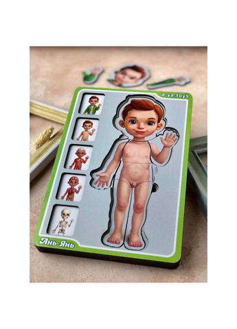 Дерев'яний пазл-вкладиш "Анатомія людини – хлопчик" (ПСФ026) PSF026 будова тіла Ubumblebees (302010192)