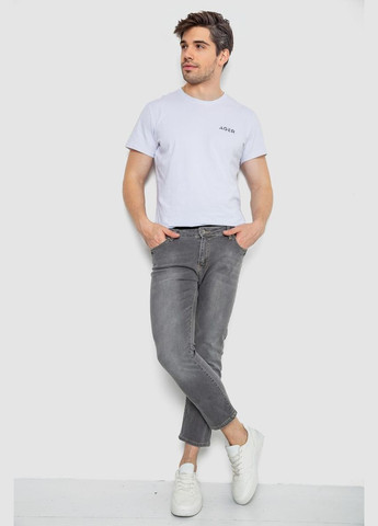 Серые демисезонные джинсы мужские 247R6249 Ager