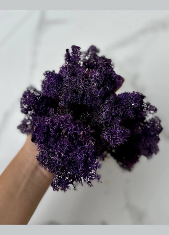 Стабілізований Норвезький Мох (Ягель) 1 кг. – Purple No Brand (302520158)