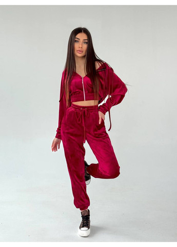 Женский велюровый костюм Osoblyva (359889380)