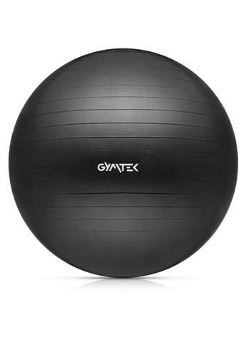Фітбол 65см + насос Gymtek (303127072)