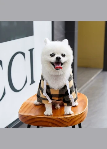 Худі для котів з кишенею Pet Style "Сосиска" Чорнобіла клітинка 5XL No Brand - (323231783)
