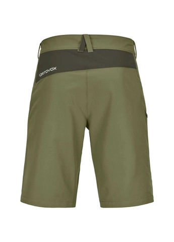 Шорты Pelmo Shorts Mns Ortovox (354782692)