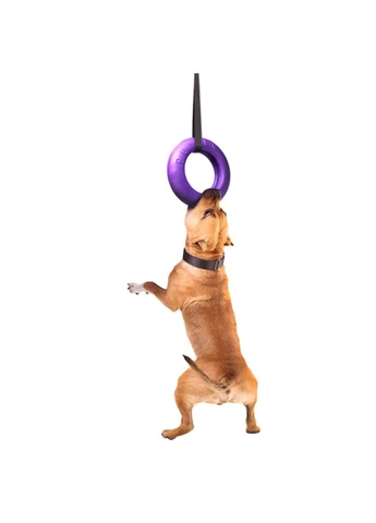 Тренувальний снаряд для собак PULLER 30 см Collar (382699949)