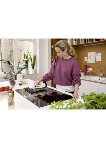 Стеклоочиститель WV 2 Plus NP (1.633-661.0) KARCHER (359480192)